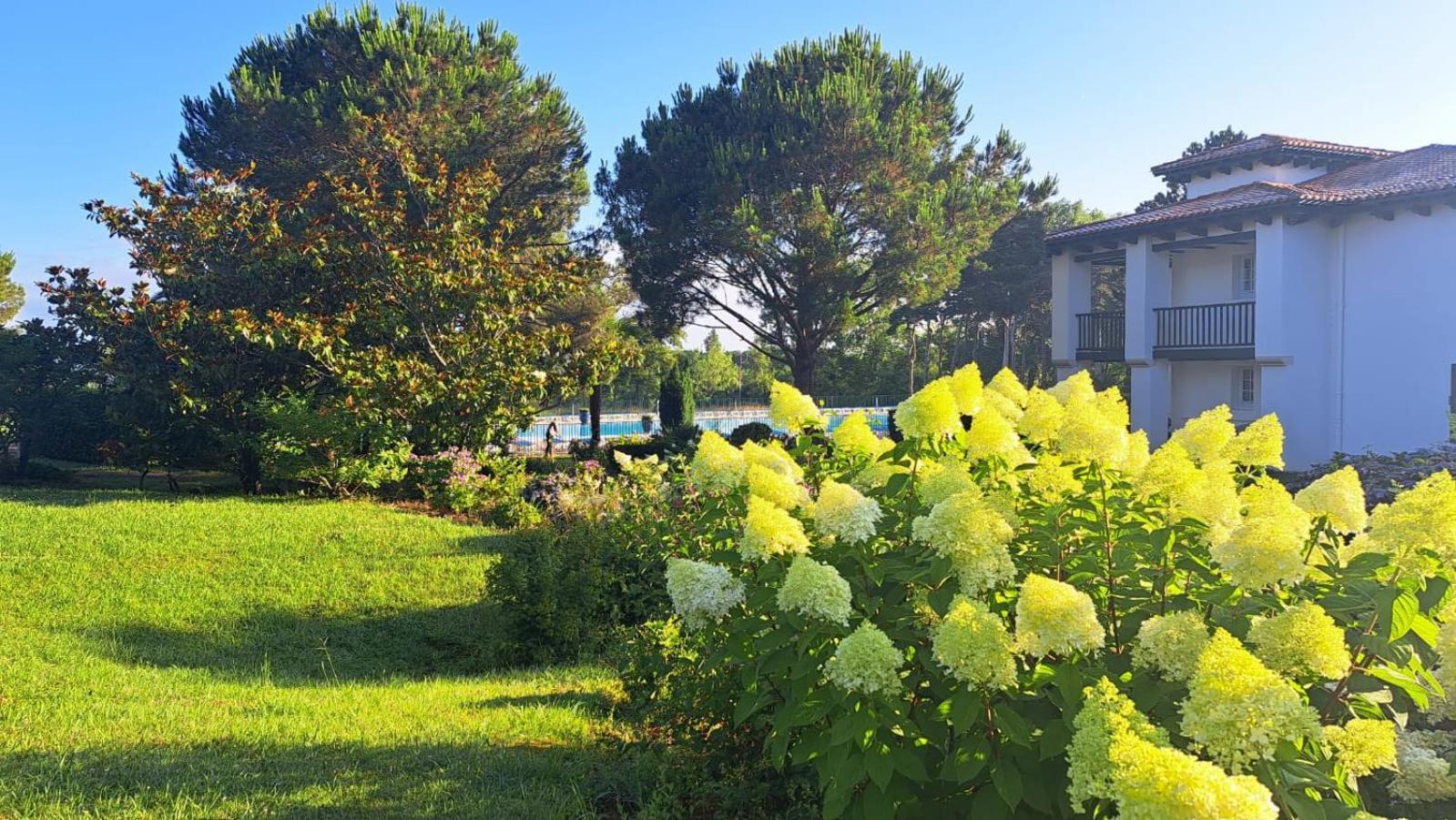 Apartament Atlantic Selection - Domaine De Bordaberry - Terrasse & Superbe Piscine Urrugne Zewnętrze zdjęcie
